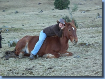 Wanderreiten lernen bei Reiten in den Anden in Chile, S&uuml;damerika